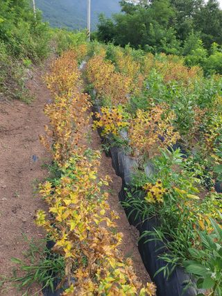 김영복님의 자유주제 · 자유게시판 작성글 사진