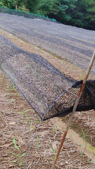 엉뚱한농사꾼임경섭님의 자유주제 · 자유게시판 작성글 사진