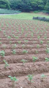 팜모닝 자유주제·자유게시판 게시글 이미지