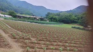 엉뚱한농사꾼임경섭님의 자유주제 · 자유게시판 작성글 사진