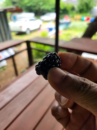 최재원 님의 기타작물 · 영농일지 작성글 사진