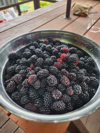 최재원 님의 기타작물 · 영농일지 작성글 사진