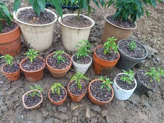 알 수 없음님의 자유주제 · 사진전 작성글 사진