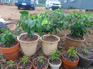 알 수 없음님의 자유주제 · 사진전 작성글 사진