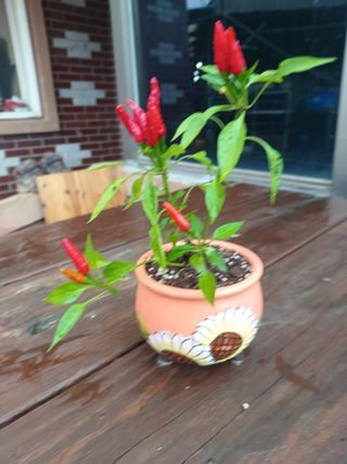 알 수 없음님의 자유주제 · 사진전 작성글 사진