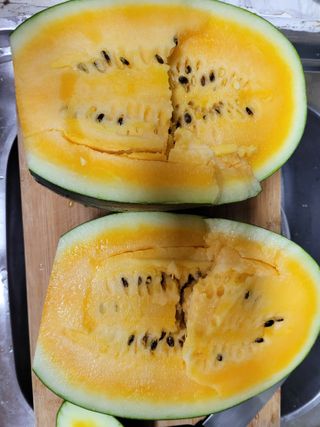 가야산아낙님의 자유주제 · 자유게시판 작성글 사진