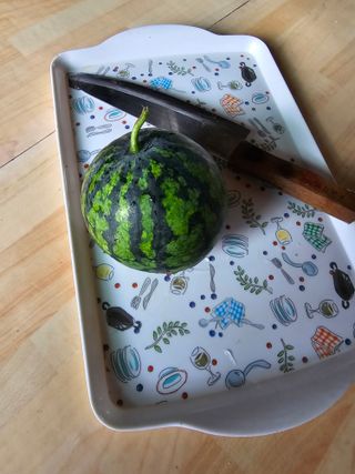 구슬땀님의 자유주제 · 자유게시판 작성글 사진