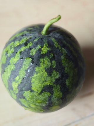 구슬땀님의 자유주제 · 자유게시판 작성글 사진