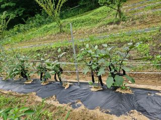 정석구님의 자유주제 · 자유게시판 작성글 사진