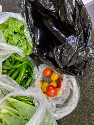 정석구님의 자유주제 · 자유게시판 작성글 사진