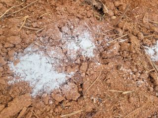 이원우님의 자유주제 · 자유게시판 작성글 사진