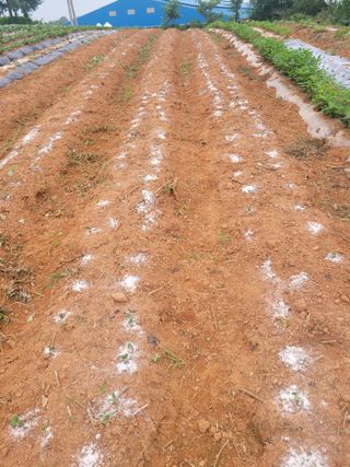 이원우님의 자유주제 · 자유게시판 작성글 사진