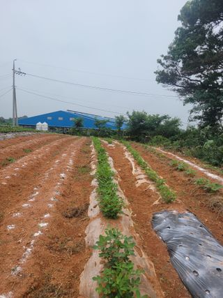 이원우님의 자유주제 · 자유게시판 작성글 사진
