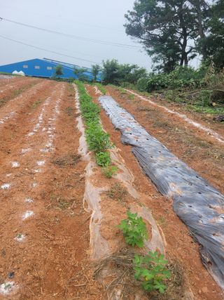 이원우님의 자유주제 · 자유게시판 작성글 사진