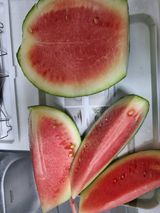 팜모닝 자유주제·자유게시판 게시글 이미지