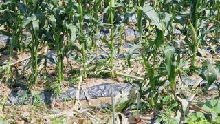 이승명님의 자유주제 · 사진전 작성글 사진