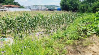 이승명님의 자유주제 · 사진전 작성글 사진