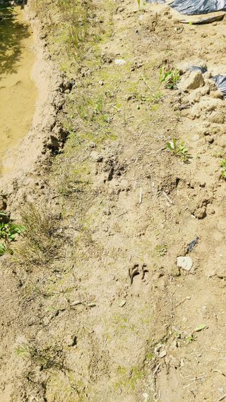 이승명님의 자유주제 · 사진전 작성글 사진