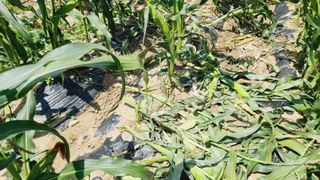 이승명님의 자유주제 · 사진전 작성글 사진