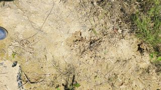 이승명님의 자유주제 · 사진전 작성글 사진