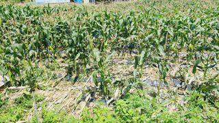 이승명님의 자유주제 · 사진전 작성글 사진