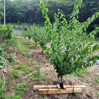 이종권님의 자유주제 · 자유게시판 작성글 사진