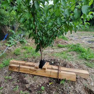 이종권님의 자유주제 · 자유게시판 작성글 사진