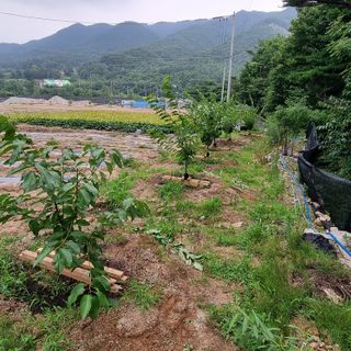 이종권님의 자유주제 · 자유게시판 작성글 사진