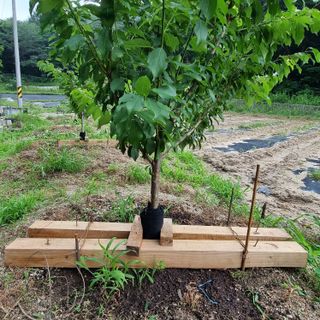 이종권님의 자유주제 · 자유게시판 작성글 사진