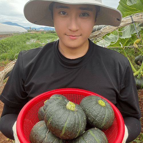 장터 상품 [해남 무농약 미니 밤호박 2kg,4kg] 썸네일