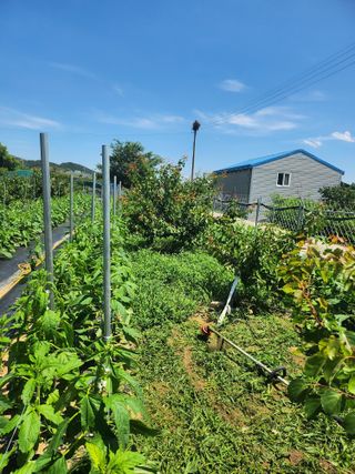 참가죽님의 기타작물 · 영농일지 작성글 사진