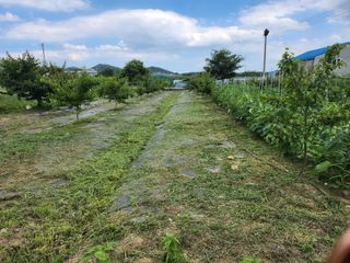 참가죽님의 기타작물 · 영농일지 작성글 사진