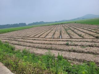 장남복님의 기타작물 · 영농일지 작성글 사진