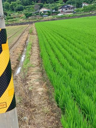 세경농장님의 벼 · 영농일지 작성글 사진