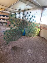 팜모닝 자유주제·자유게시판 게시글 이미지