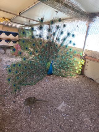 초보경영자님의 자유주제 · 자유게시판 작성글 사진