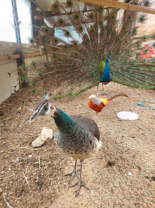 초보경영자님의 자유주제 · 자유게시판 작성글 사진