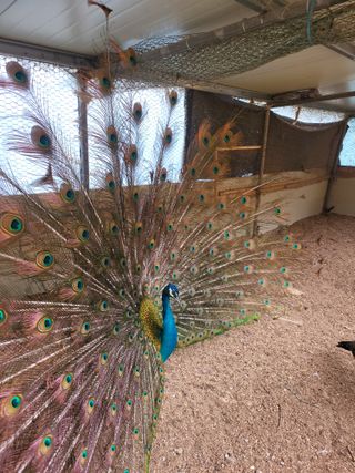 초보경영자님의 자유주제 · 자유게시판 작성글 사진