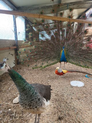 초보경영자님의 자유주제 · 자유게시판 작성글 사진