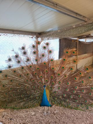 초보경영자님의 자유주제 · 자유게시판 작성글 사진