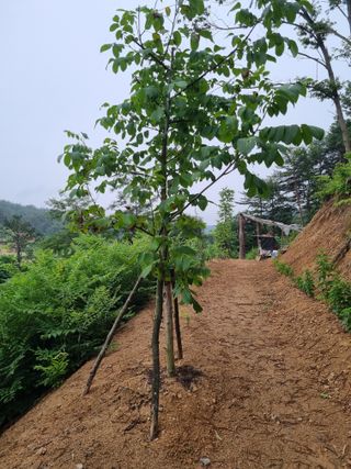 이찬암님의 기타작물 · 영농일지 작성글 사진