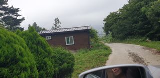 박영애님의 감 · 영농일지 작성글 사진