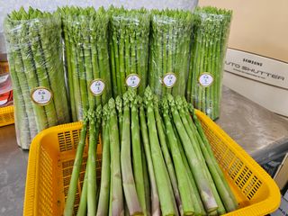 함안아스파라거스님의 기타작물 · 영농일지 작성글 사진