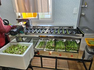 함안아스파라거스님의 기타작물 · 영농일지 작성글 사진