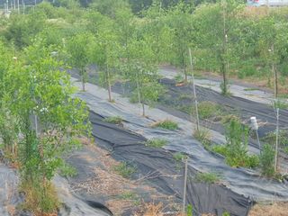 황정호님의 사과 · 영농일지 작성글 사진