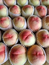 팜모닝 자유주제·자유게시판 게시글 이미지