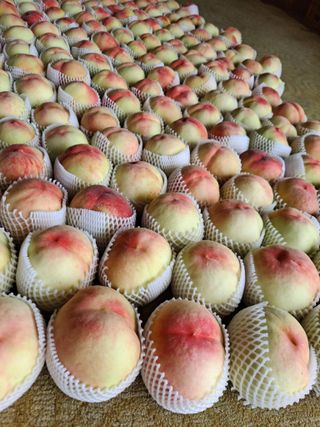 딱딱이~~님의 자유주제 · 자유게시판 작성글 사진