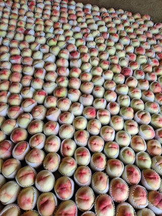 딱딱이~~님의 자유주제 · 자유게시판 작성글 사진