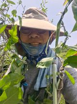 팜모닝 기타작물·영농일지 게시글 이미지