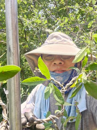 김재열님의 기타작물 · 영농일지 작성글 사진